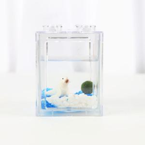 마리모 바다물개엉엉 블럭어항 4구 세트 마리모 포함