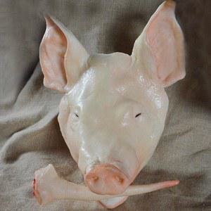 가짜 돼지머리 모형 제삿상 제수용 모드다 고사용 머리 시산제 개업