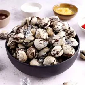 산지직송 당일조업 제철 벌교 꼬막 1kg