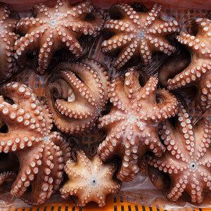 [롯데백화점]남도미향 고흥 자숙 문어 1-3미 (생물기준 1kg)