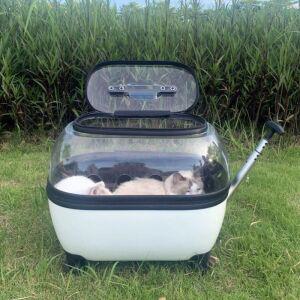 강아지 투명캐리어 고양이 이동가방 바퀴 외출