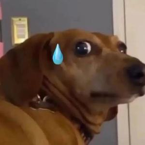 FIDO U2F 스푸핑 방지 기술 Windows 장치에 대한 빠른 기능을 갖춘 생체 인식 USB 지문 보안 키