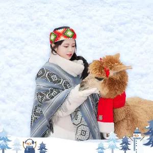 [홍천] 알파카월드 입장권(9/1~)/양떼목장/동물원/체험/가볼만한곳/데이트/동물원/강원도/아이랑/여행/관광