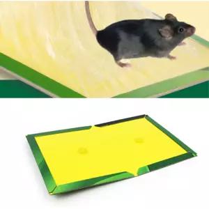끈적이 쥐덫 본드 쥐잡기 파리 벌레 트랩 GLUE PIT