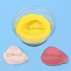 SA실물조개 화석모형만들기(1인용)알지네이트조개화석