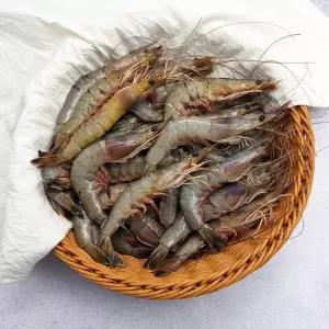 서해안 자연산 대하 1kg  28-30미내외  급냉)