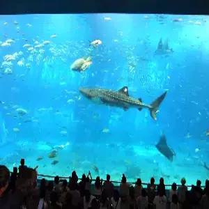 오키나와 자유 4일#청주-오키나와직항 #머큐어나하 #나하중심숙박 #국제거리 #클래식트윈룸