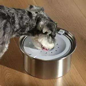 [콩심팥심]강아지 고강도 스테인리스 물그릇 4L 1P 필터 음수기 강아지음수기
