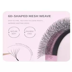 Lashernala 속눈썹나라 6D 속눈썹연장 노글루속눈썹 눈썹연장 가닥속눈썹