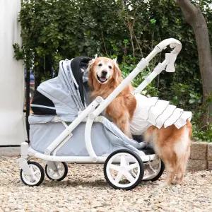 [폼포라]  디럭스 웨건 중형 대형 애견 강아지유모차 펫웨건 다견 저상형 개