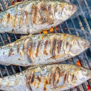 [NS홈쇼핑][해동찬가] 제철 돌아온 자연산 남해안 전어 구이용 1kg (500g 2팩)..[35377862]