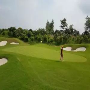 [해구5일/6일] #일피랑CC #맹글로브CC #이색골프 #시즌특가