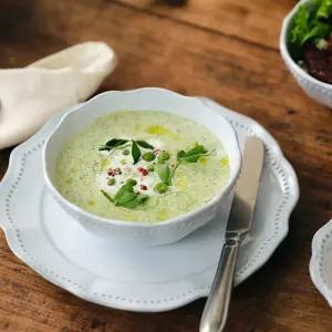 코스타노바 콜라레스 국공기 15cm