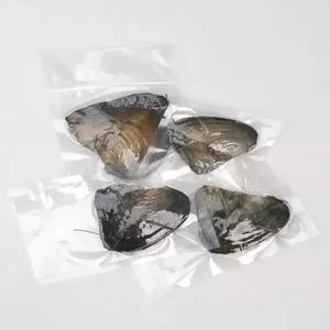 진주조개 체험 목걸이 만들기 DIY 키트 천연 진주 펜던트 악세사리 재료 세트 스테인레스