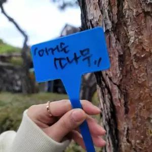 [골드스마일]식물 이름 태그 대형 30cm 화초 라벨 표시판 팻말