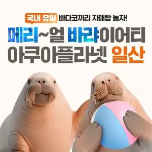 [일산] 아쿠아플라넷 다흑기획전 입장권(12/1~12/31)