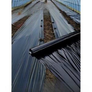 멀칭비닐 농업용필름 하우스 시공 5kg 5kg 멀칭필름 동물방지망 검정비닐