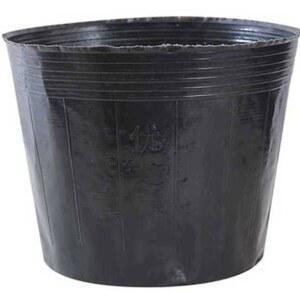 대형 원형 비닐 화분 100개 500개 육묘 15X13 분갈이