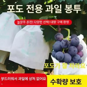 반투명 포도 전용 종이봉투 과일 포장 방충 방수 봉지