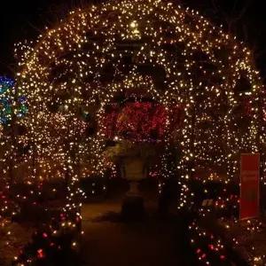 [셀러에이드](은하수)300구 녹색선 LED 웜색 지니전구(30M) (점멸) LED전구