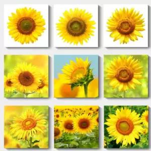 돈들어오는 해바라기그림 개업 해바라기액자 이사선물 집들이