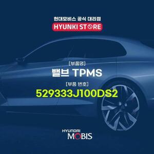 [현대모비스]밸브 TPMS (529333J100DS2)