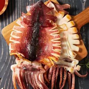 [쫀득고소] 반건조 오징어 피데기 총 10미 (500g내외)