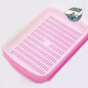 실내 원예 초보자용 새싹 재배기 보리 씨앗