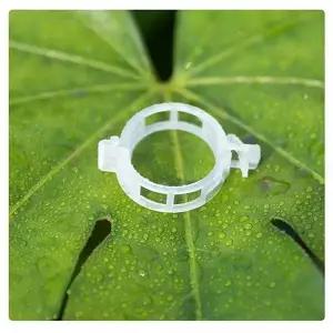 [골드스마일]식물 덩굴 줄기 고정 클립 집게 식물 지지대 50P