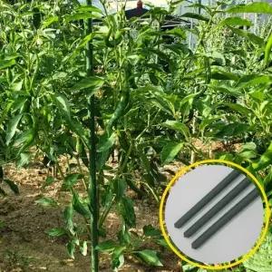 굵은 텃밭 화분 식물지지대 90cm 3P 식물지지대 화분지지대 화초지지대 오이지지대