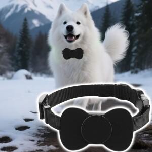 APC 경보 기능이 있는 고양이 추적 목걸이  로케이터 실시간 GPS 추적기 개 산책을 위한 분실 방지 위치 알