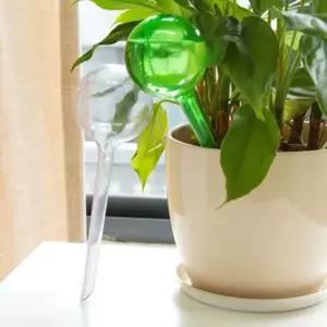 [콩심팥심]식물 화분 급수기 자동 물공급 원예 가드닝 가정용