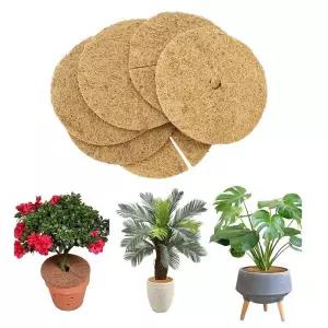 [콩심팥심]화분 흙 커버 코코넛 덮개 식물 가드닝 흙날림 소 10p