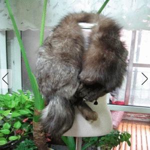 SAGA FOX (정품)리얼  천연폭스털 여우털 모피 목도리 럭셔리한은빛칼라 롱 통한마리 무스탕 밍크 점퍼 패딩 원피스 코디 모임 특별한날 망년회 런웨이 숄 망토