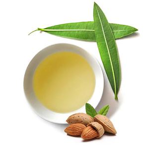 마타바 스윗아몬드 오일 정제 500ml 천연화장품 롤온향수 diy용 베이스