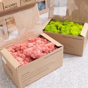 스칸디아모스 천연이끼 공기정화 식물 150g 20컬러 만들기 재료 키트 diy 인테리어