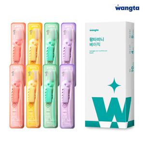 왕타미니 베이직