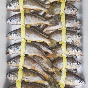 영광 법성포 굴비 20미+20미 가정용 1.4kg x 2두름