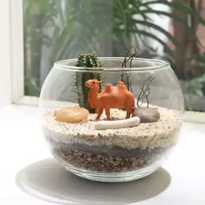 나만의 반려식물 다육 테라리움 DIY 만들기 키트_사막을 걷다