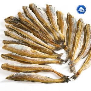 무조미 두절 노가리(23~25cm) 500g