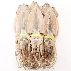 동해안 마른오징어 20미(800g 내외) 부드러운 건오징어