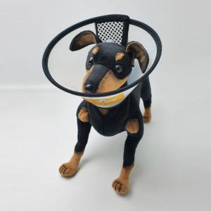 애견 넥카라 강아지 고양이 목보호대 투명 깔대기