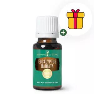 영리빙 유칼립투스 라디아타 에센셜오일 15ml 글로벌넘버원 선물팡팡 