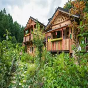 [강원 펜션] 평창 돌배나무세그루펜션 (평창)