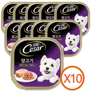시저캔 강아지캔 양고기맛 10캔 /강아지간식