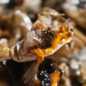 2024 암컷 참게 민물 참게 게장 매운탕 꽃게탕