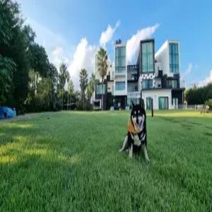 [제주 펜션] 서귀포 제주르페도라 애견동반가능펜션 (남원,표선,성산)