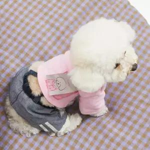 [루이독] 독스 퍼스트