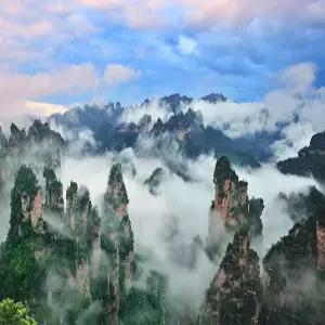 장가계 4/5일 #대구출발 #티웨이항공 [NO팁+NO옵션] [정5성호텔숙박] [과일바구니서비스]