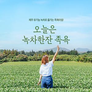 [제주] 오늘은 녹차족욕